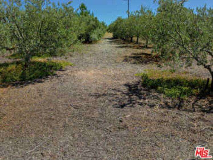 25833 Calle Corveta Photo